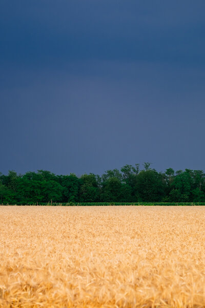 Progetto 'Orizzonti verticali' di Alessandro Pessina