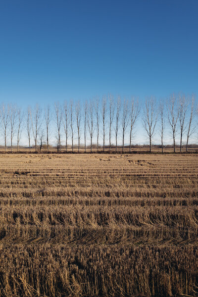 Fotografia dal progetto 'Orizzonti verticali' di Alessandro Pessina
